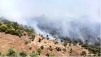 Milas'da çıkan orman yangınına hava ve karadan müdahale ediliyor (2) Milas'da çıkan orman yangınına hava ve karadan müdahale ediliyor (2)