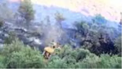 Milas'ta çıkan orman yangınına hava ve karadan müdahale ediliyor (4) Milas'ta çıkan orman yangınına hava ve karadan müdahale ediliyor (4)