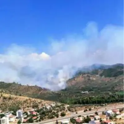 Milas'ta orman yangını Milas'ta orman yangını