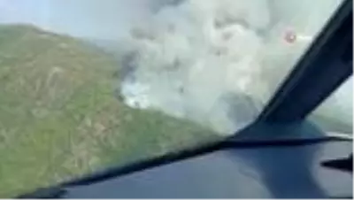 Muğla'daki orman yangınına müdahale sürüyor! Bölgeye çevre illerden destek ekipleri geldi Muğla'daki orman yangınına müdahale sürüyor! Bölgeye çevre illerden destek ekipleri geldi