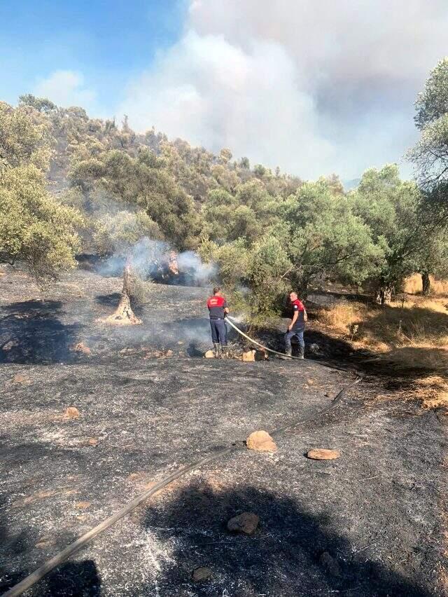 Muğla'daki orman yangınına müdahale sürüyor! Bölgeye çevre illerden destek ekipleri geldi Muğla'daki orman yangınına müdahale sürüyor! Bölgeye çevre illerden destek ekipleri geldi
