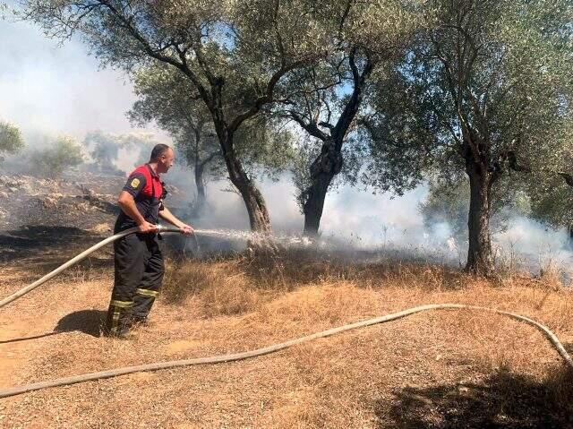 Muğla'daki orman yangınına müdahale sürüyor! Bölgeye çevre illerden destek ekipleri geldi Muğla'daki orman yangınına müdahale sürüyor! Bölgeye çevre illerden destek ekipleri geldi