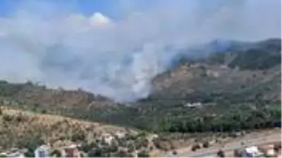 Muğla'daki orman yangınına müdahale sürüyor! Bölgeye çevre illerden destek ekipleri geldi Muğla'daki orman yangınına müdahale sürüyor! Bölgeye çevre illerden destek ekipleri geldi