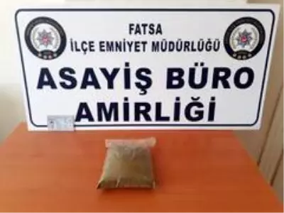 Ordu'da 320 gram bonzai ele geçirildi Ordu'da 320 gram bonzai ele geçirildi