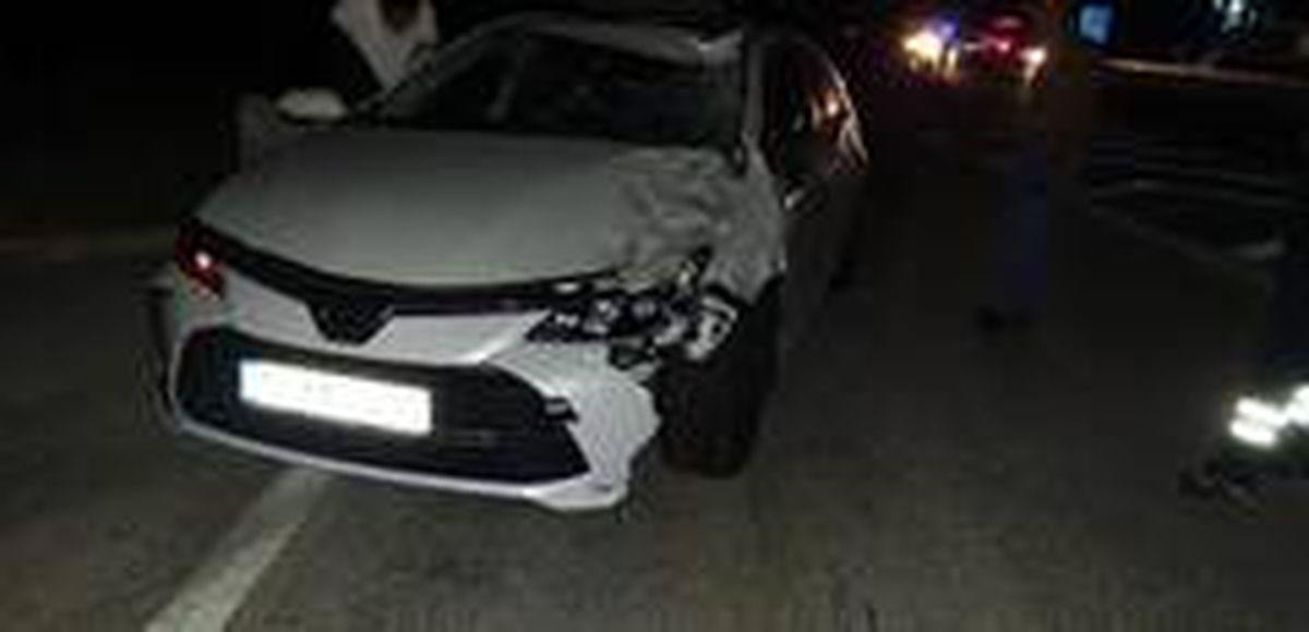 Otomobilin çarptığı at telef oldu