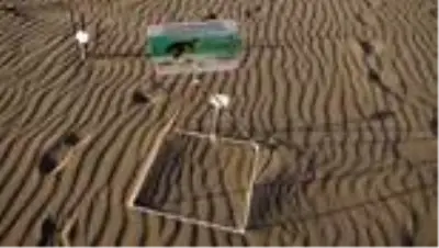 Patara'da caretta caretta yavruları denizle buluştu Patara'da caretta caretta yavruları denizle buluştu