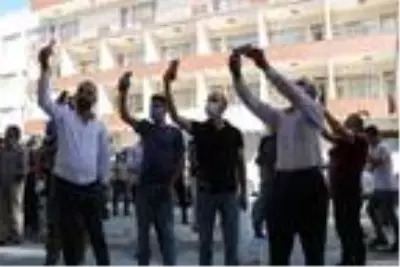 Esnaf, tabelaya yuva yapan arılar yüzünden iş yerlerini açamadı Esnaf, tabelaya yuva yapan arılar yüzünden iş yerlerini açamadı
