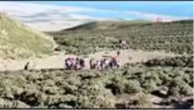 Van Gölü'ne dikkat çekmek için Süphan Dağı'na zirve yaptılar Van Gölü'ne dikkat çekmek için Süphan Dağı'na zirve yaptılar