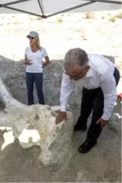Son dakika haberleri | Zamanın Afrikası Kayseri'deki fosiller Anadolu tarihine ışık tutuyor Son dakika haberleri | Zamanın Afrikası Kayseri'deki fosiller Anadolu tarihine ışık tutuyor