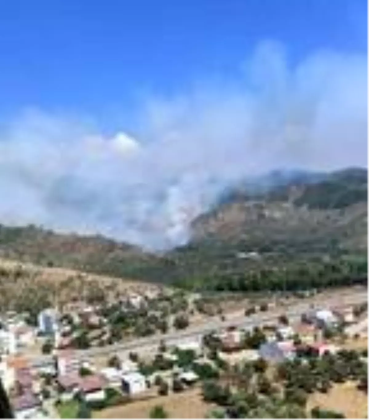 Zeytinlik alanda çıkan yangın ormana sıçradı; Söndürme çalışmaları devam ediyor
