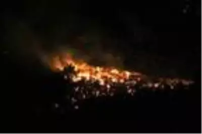 Zeytinlik alanda çıkan yangın ormana sıçradı (3) Zeytinlik alanda çıkan yangın ormana sıçradı (3)