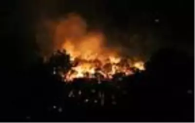 Zeytinlik alanda çıkan yangın ormana sıçradı (3) Zeytinlik alanda çıkan yangın ormana sıçradı (3)