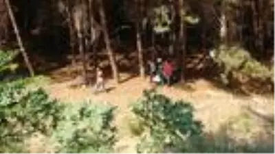 Baba ile 7 yaşındaki kızı, ayrı ilçelerde ağaca iple asılı halde ölü bulundu Baba ile 7 yaşındaki kızı, ayrı ilçelerde ağaca iple asılı halde ölü bulundu