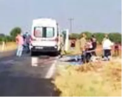 Baba ve oğul fıstık kavgasında öldürüldü Baba ve oğul fıstık kavgasında öldürüldü