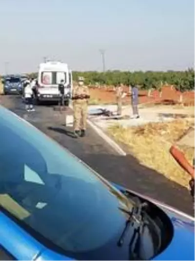 Baba ve oğul fıstık kavgasında öldürüldü Baba ve oğul fıstık kavgasında öldürüldü