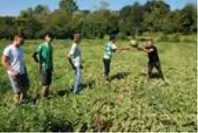 Son dakika! Bartın'da tarlasında kavun üretti, inandırmakta zorlandı Son dakika! Bartın'da tarlasında kavun üretti, inandırmakta zorlandı