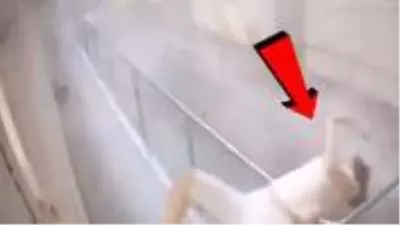 Beyrut patlamasında ortaya çıkan yeni görüntüler yürekleri ağızlara getirdi Beyrut patlamasında ortaya çıkan yeni görüntüler yürekleri ağızlara getirdi