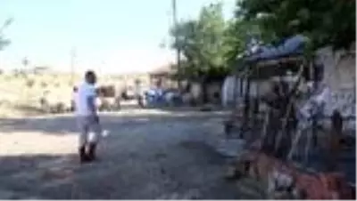 Bir inekle başladığı hayvancılıkta 5 yılda çiftlik sahibi oldu Bir inekle başladığı hayvancılıkta 5 yılda çiftlik sahibi oldu
