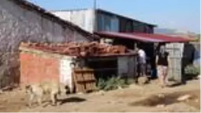 Bir inekle başladığı hayvancılıkta 5 yılda çiftlik sahibi oldu Bir inekle başladığı hayvancılıkta 5 yılda çiftlik sahibi oldu