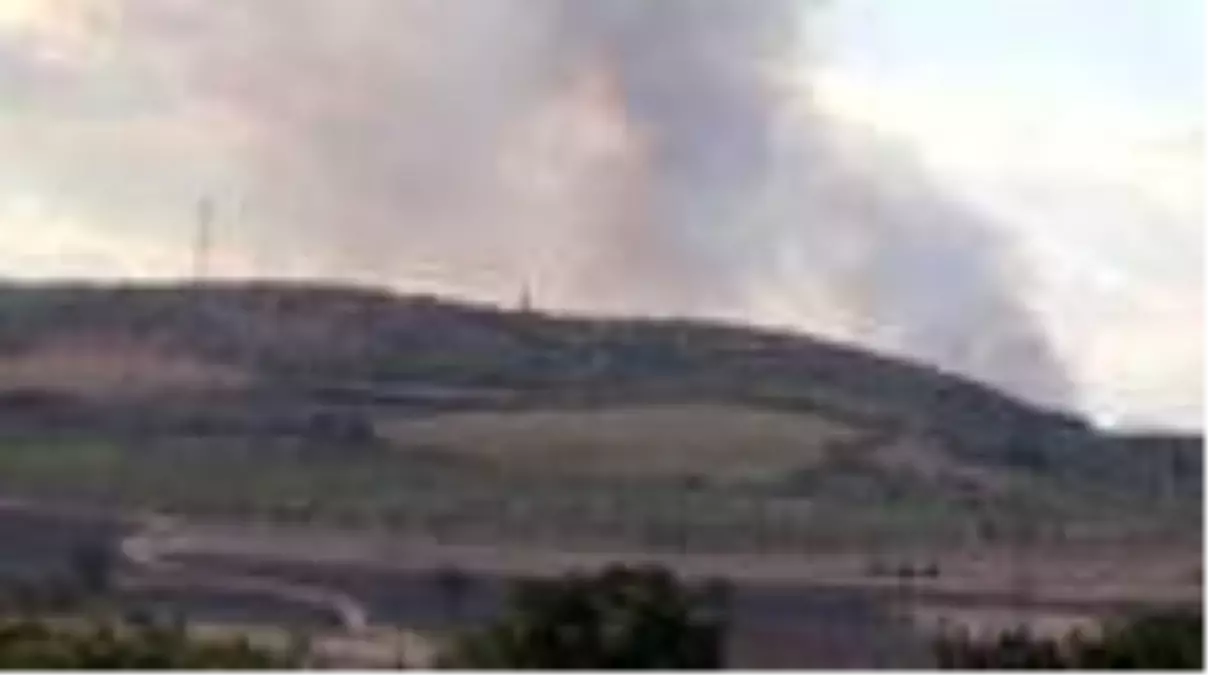 Bulgaristan'daki yangının Türkiye'ye sıçramaması için önlemler artırılıyor (2)