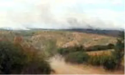 Bulgaristan sınırındaki orman yangını sürüyor Bulgaristan sınırındaki orman yangını sürüyor