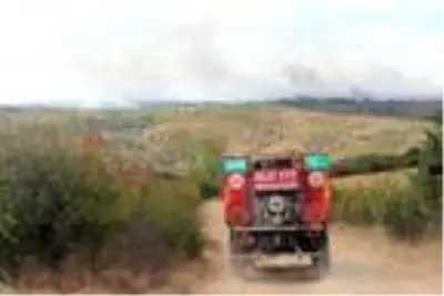 Bulgaristan sınırındaki orman yangını sürüyor Bulgaristan sınırındaki orman yangını sürüyor