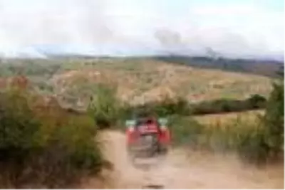 Bulgaristan sınırındaki orman yangını sürüyor Bulgaristan sınırındaki orman yangını sürüyor