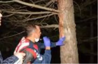 Define arayan arkadaşların üzerine yıldırım düştü: 1 ölü, 1 yaralı Define arayan arkadaşların üzerine yıldırım düştü: 1 ölü, 1 yaralı