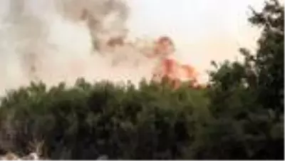 Didim'de makilik alanda yangın Didim'de makilik alanda yangın