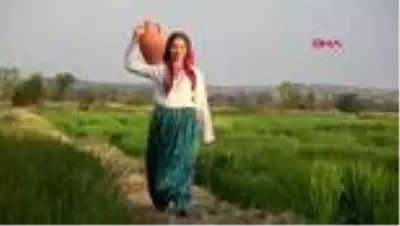 Edirne'de çeltik tarlaları, fotoğraf stüdyosuna döndü Edirne'de çeltik tarlaları, fotoğraf stüdyosuna döndü