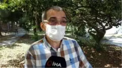 Fındığın kanseri böcek 'Drakula' yayılışını sürdürüyor, fındık üreticileri çaresiz Fındığın kanseri böcek 'Drakula' yayılışını sürdürüyor, fındık üreticileri çaresiz