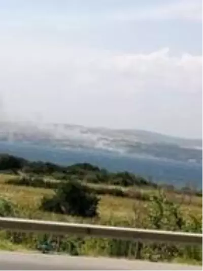 Gelibolu'da orman yangını (1) Gelibolu'da orman yangını (1)