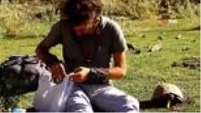 Gezgin öğretmene kaplumbağ sürprizi Gezgin öğretmene kaplumbağ sürprizi