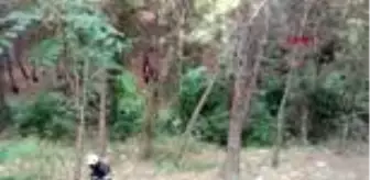 Arsuz: HATAY Baba ile 7 yaşındaki kızı, ayrı ilçelerde ağaca iple asılı halde ölü bulundu Arsuz: HATAY Baba ile 7 yaşındaki kızı, ayrı ilçelerde ağaca iple asılı halde ölü bulundu