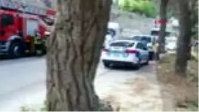HATAY Baba ile 7 yaşındaki kızı, ayrı ilçelerde ağaca iple asılı halde ölü bulundu HATAY Baba ile 7 yaşındaki kızı, ayrı ilçelerde ağaca iple asılı halde ölü bulundu