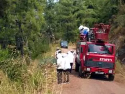 İtfaiye ekipleri bu defa arıların kızgınlığını gidermek için görev yaptı İtfaiye ekipleri bu defa arıların kızgınlığını gidermek için görev yaptı