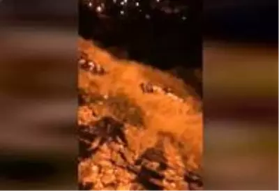 Kahramanmaraş'ta trafik kazası: 1 ölü, 3 yaralı Kahramanmaraş'ta trafik kazası: 1 ölü, 3 yaralı