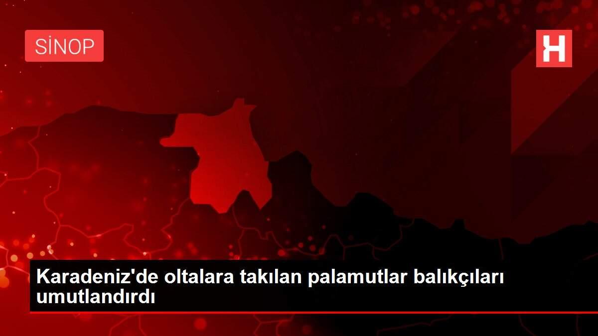 Karadeniz'de oltalara takılan palamutlar balıkçıları umutlandırdı Karadeniz'de oltalara takılan palamutlar balıkçıları umutlandırdı