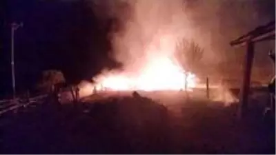 Kastamonu'da çıkan yangında 5 samanlık ve 500 balya saman küle döndü Kastamonu'da çıkan yangında 5 samanlık ve 500 balya saman küle döndü