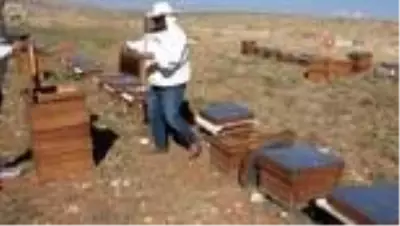 Kupalı, madalyalı organik Eğriçayır balında hasat coşkusu Kupalı, madalyalı organik Eğriçayır balında hasat coşkusu