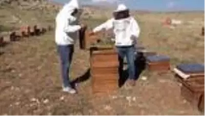 Kupalı, madalyalı organik Eğriçayır balında hasat coşkusu Kupalı, madalyalı organik Eğriçayır balında hasat coşkusu