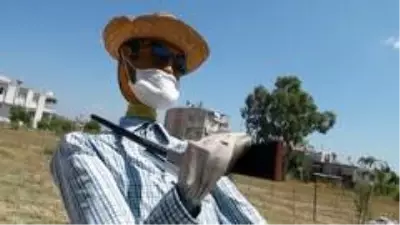 Maske takmayanlara maskeli korkulukla mesaj Maske takmayanlara maskeli korkulukla mesaj