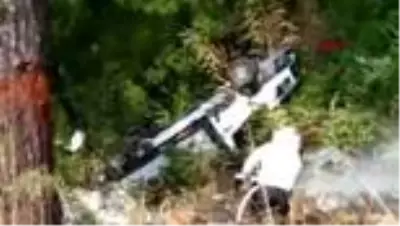 MUĞLA Şarampole uçan kamyonetteki 3,5 milyon arı ormana yayıldı MUĞLA Şarampole uçan kamyonetteki 3,5 milyon arı ormana yayıldı