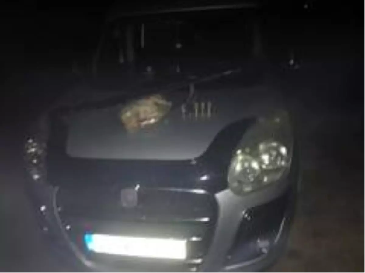 Osmancık'ta kaçak avcı operasyonu