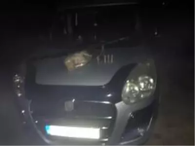 Osmancık'ta kaçak avcı operasyonu Osmancık'ta kaçak avcı operasyonu