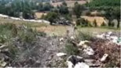 Virajı alamayan otomobil şarampole yuvarlandı: 1 ölü, 2 yaralı Virajı alamayan otomobil şarampole yuvarlandı: 1 ölü, 2 yaralı