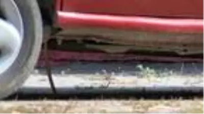 Otomomobile giren yılan zor anlar yaşattı Otomomobile giren yılan zor anlar yaşattı