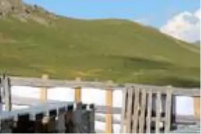 Sağımı başlanan Anzer balında küçükbaş tehdidi Sağımı başlanan Anzer balında küçükbaş tehdidi