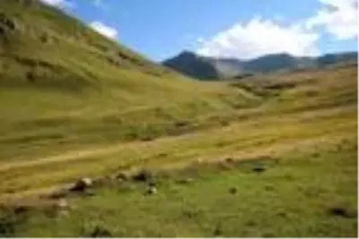 Sağımı başlanan Anzer balında küçükbaş tehdidi Sağımı başlanan Anzer balında küçükbaş tehdidi