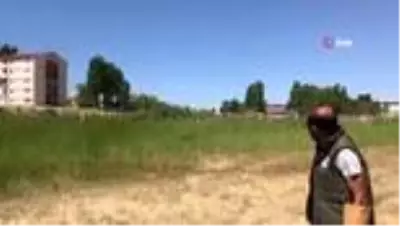 Tedavileri tamamlanan kuşlar doğaya salındı Tedavileri tamamlanan kuşlar doğaya salındı